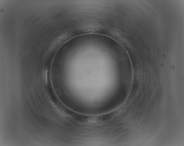 X0000074300070200608251221