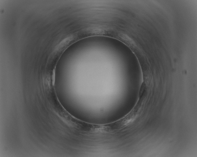 X0000074300072200608251221