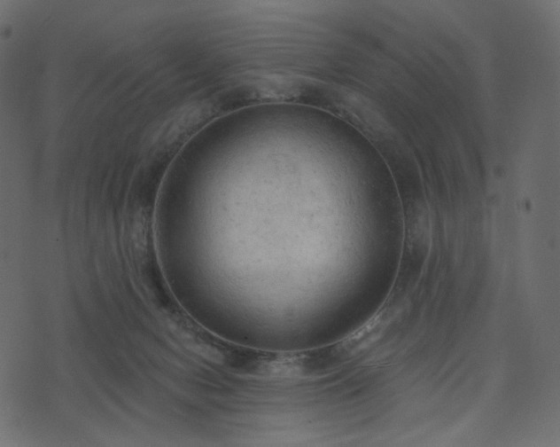 X0000074300078200608251221