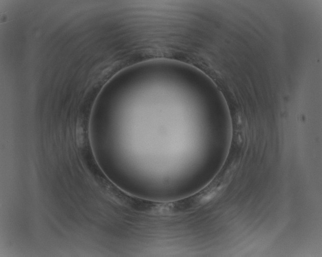 X0000074300080200608251221