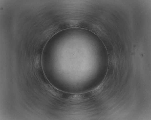 X0000074300082200608251221