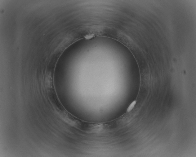 X0000074300083200608251221