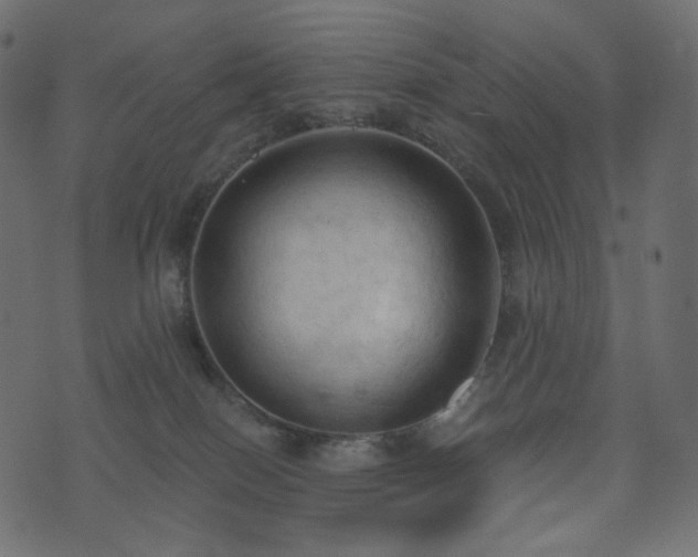 X0000074300086200608251221