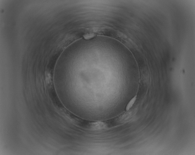 X0000074300087200608251221