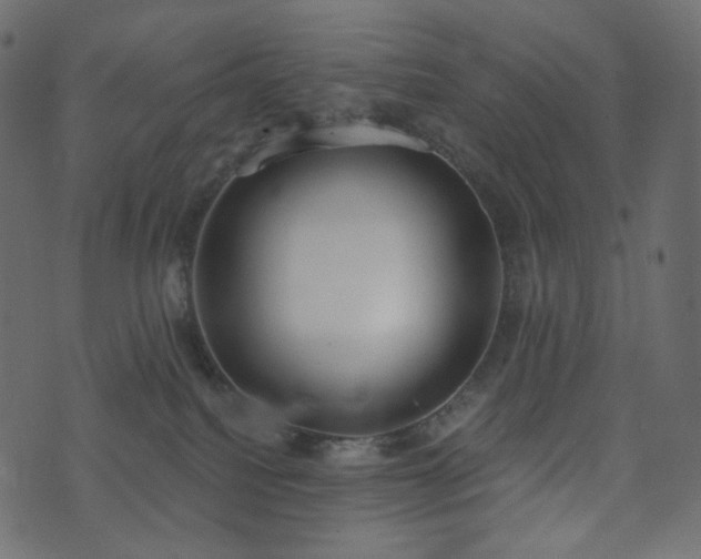 X0000074300088200608251221