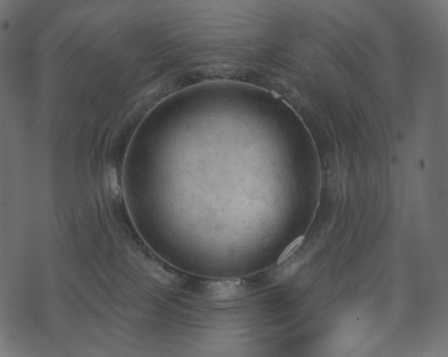 X0000074300089200608251221