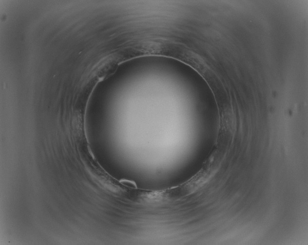 X0000074300092200608251221