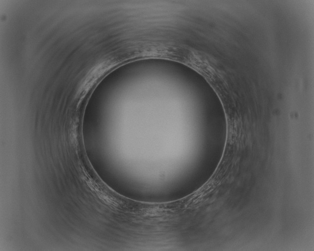 X0000074300098200608251220