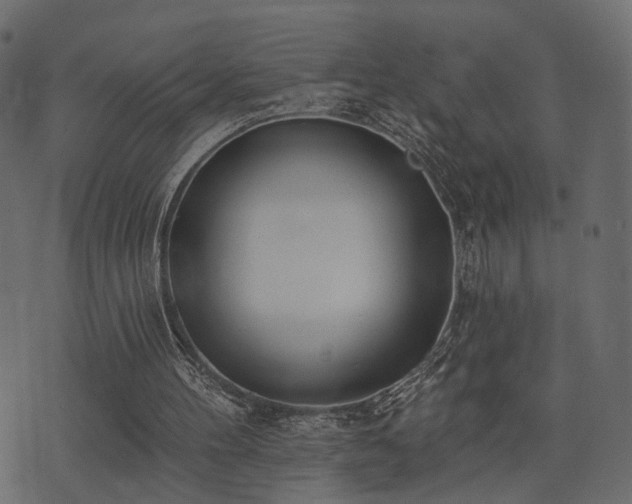X0000074300100200608251220