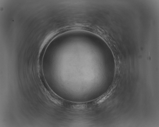 X0000074300102200608251220