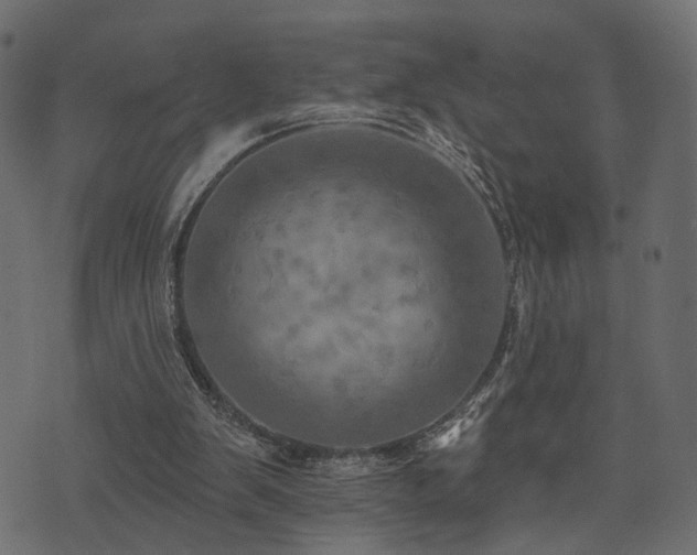 X0000074300103200608251220