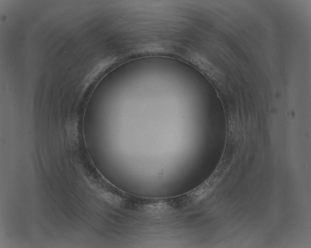 X0000074300112200608251220