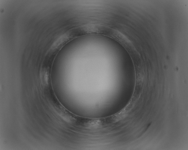 X0000074300124200608251220