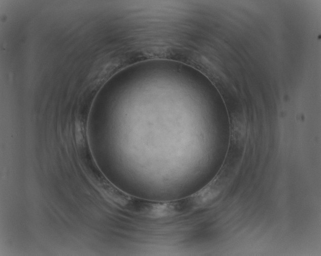 X0000074300130200608251220