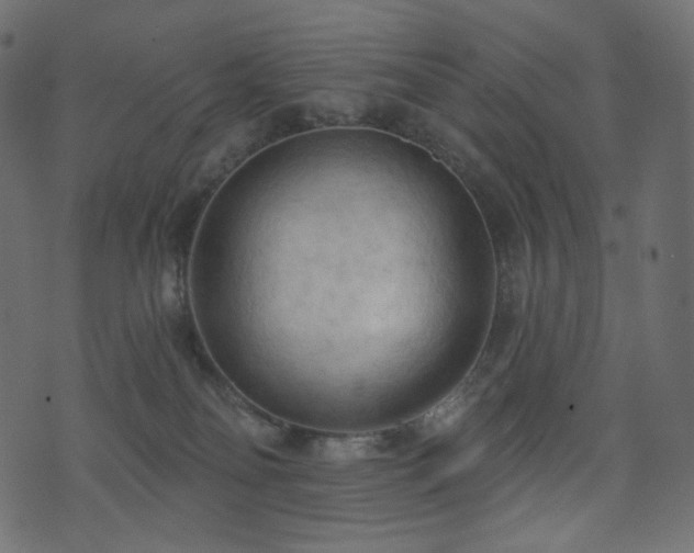 X0000074300134200608251220