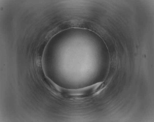 X0000074300137200608251220