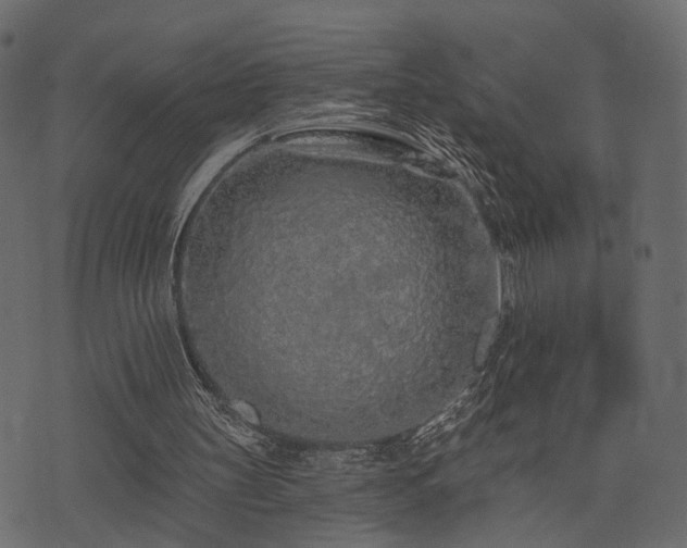 X0000074300147200608251219