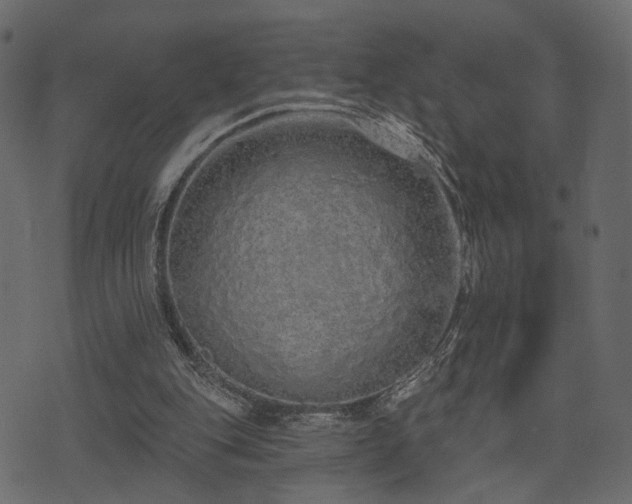 X0000074300151200608251219