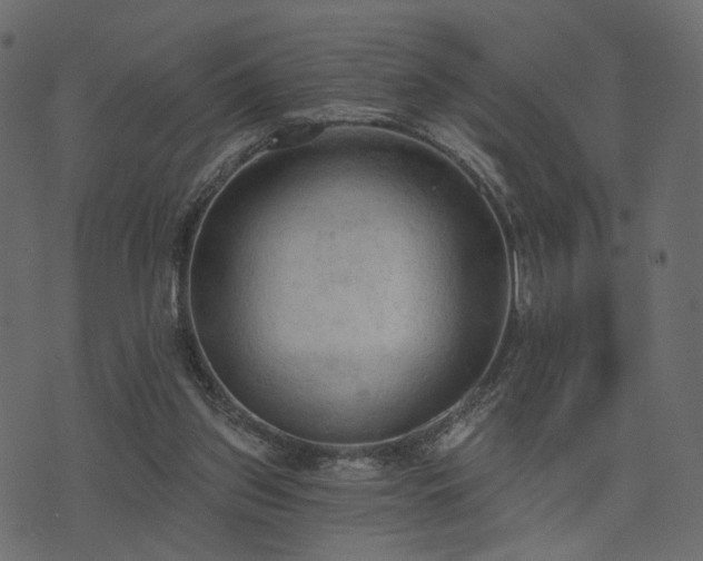 X0000074300157200608251219