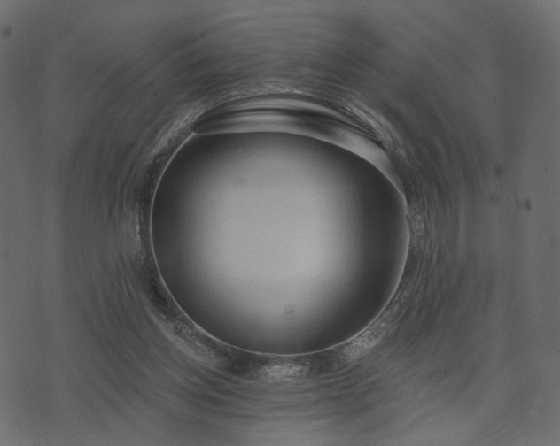 X0000074300158200608251219