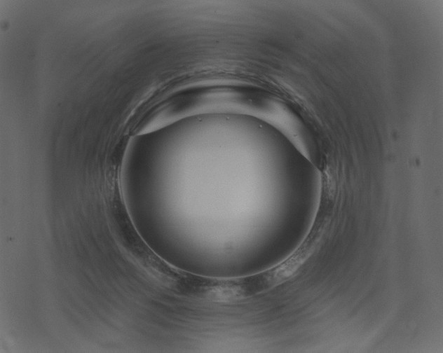 X0000074300168200608251219