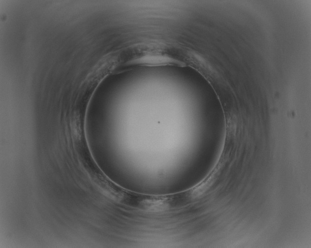 X0000074300170200608251219