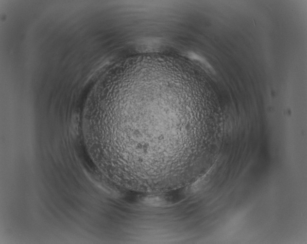 X0000074300171200608251219