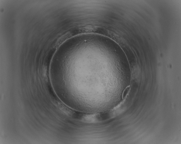X0000074300178200608251219