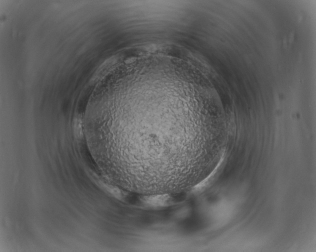 X0000074300191200608251220