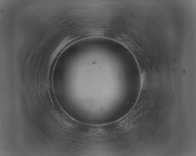 X0000074300195200608251219