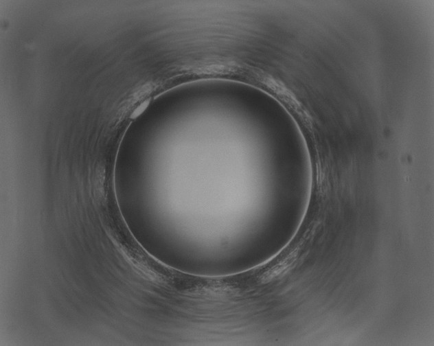 X0000074300201200608251219