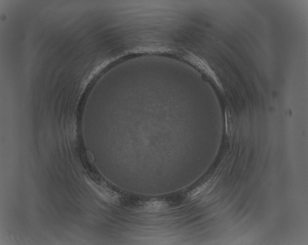 X0000074300204200608251219