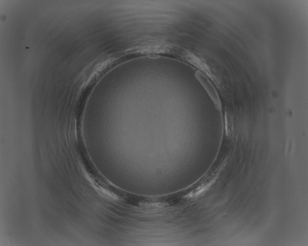 X0000074300205200608251219