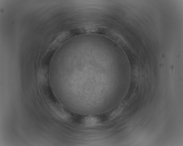 X0000074300218200608251218