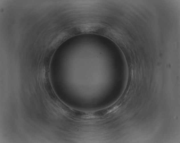 X0000074300219200608251218