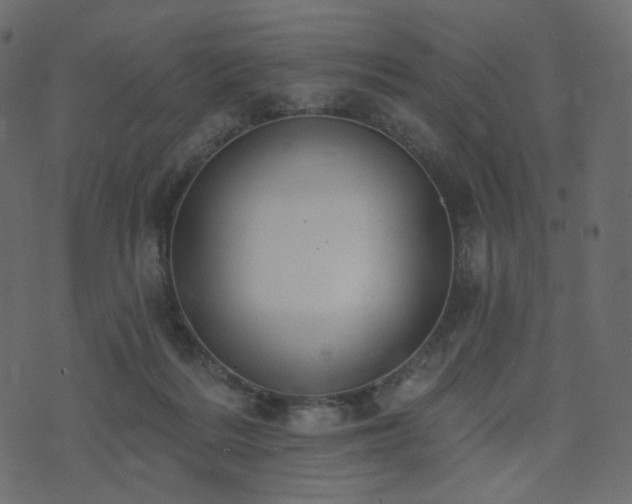 X0000074300220200608251218