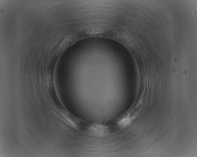 X0000074300227200608251218