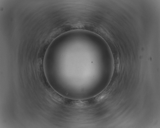 X0000074300229200608251218