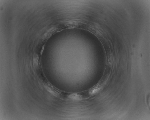 X0000074300231200608251218