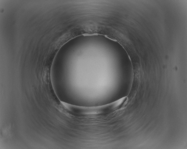 X0000074300233200608251218