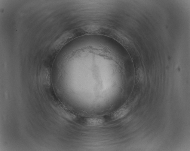 X0000074300234200608251218