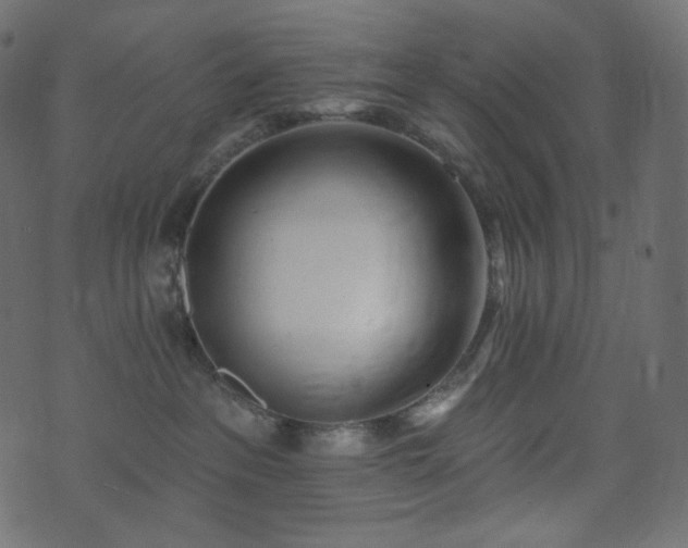 X0000074300237200608251218