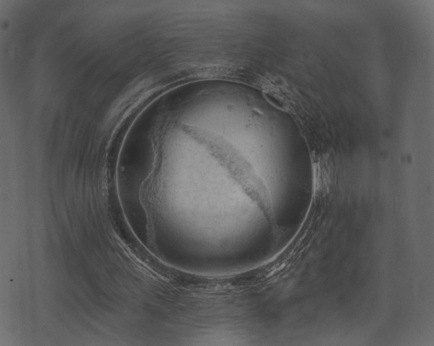 X0000074300243200608251217