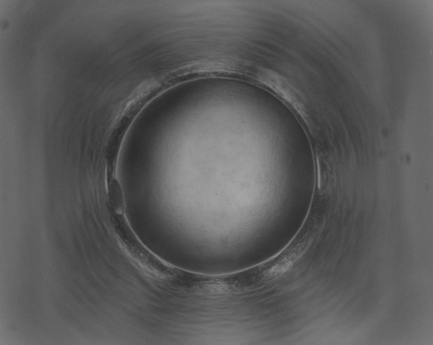 X0000074300253200608251217