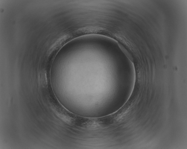 X0000074300254200608251217