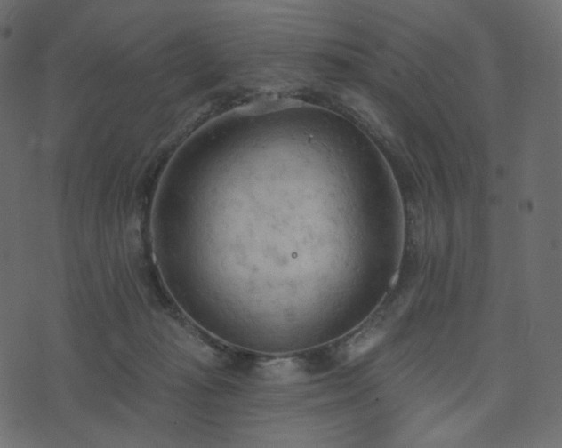 X0000074300269200608251218