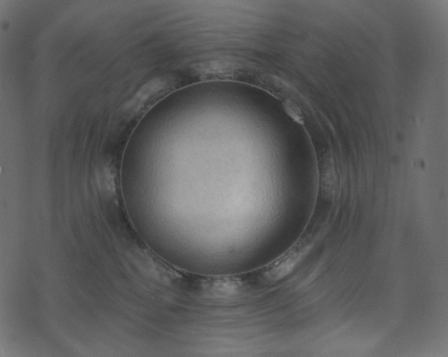 X0000074300282200608251218
