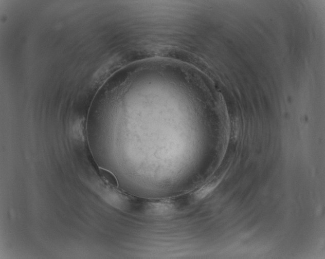 X0000074300286200608251218