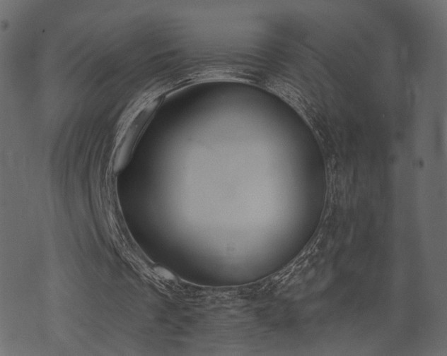 X0000074300289200608251217
