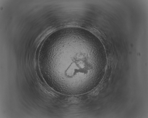 X0000074300290200608251217